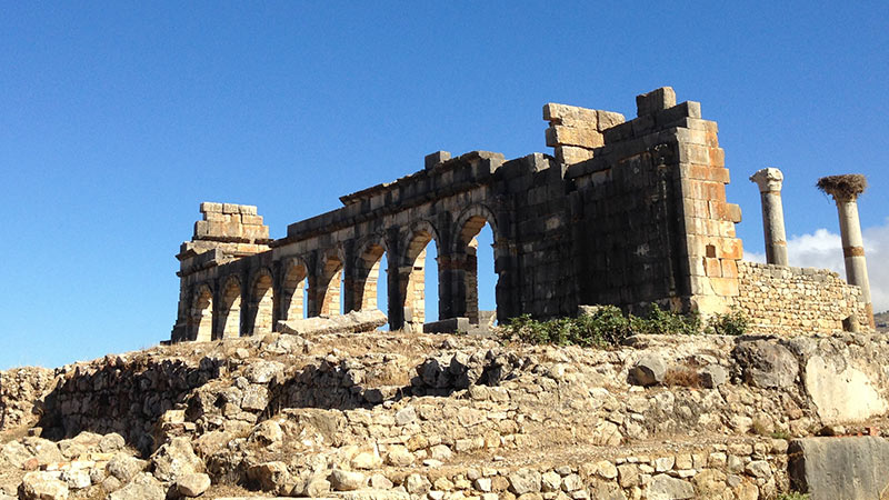 Africa Morocco Volubilis Ruins 2