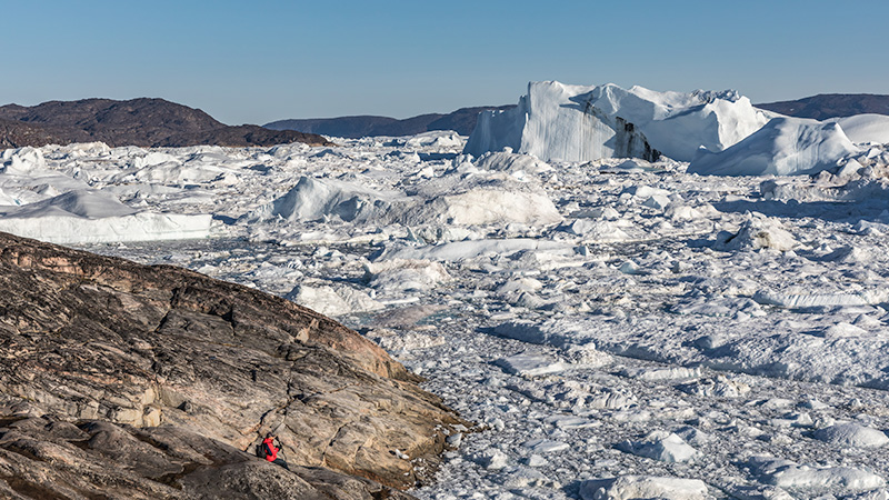 NWP Guest Icebergs