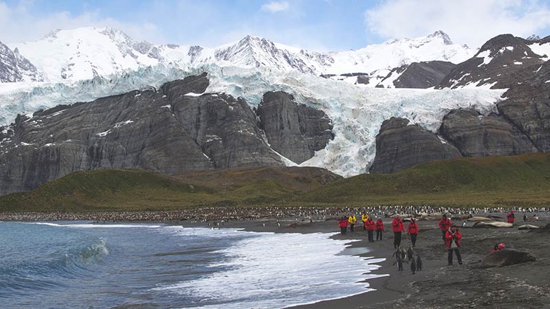 Antarctica South Georgia