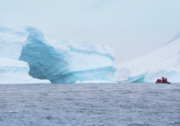 Antarctic Discovery Jan-16-30-2020 search