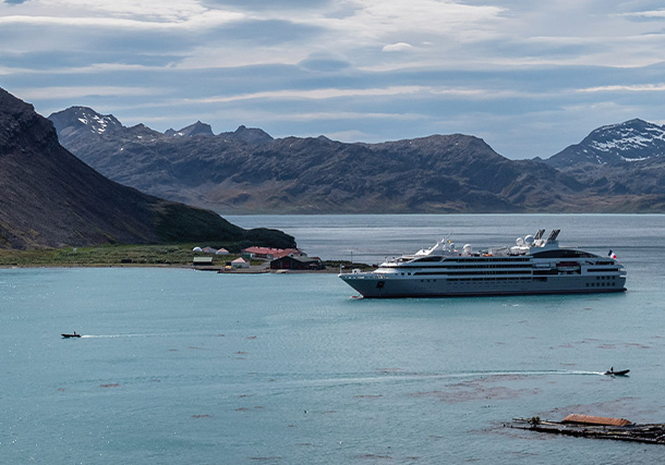 Antarctica South Georgia the Falkland Islands December 19 2019 search