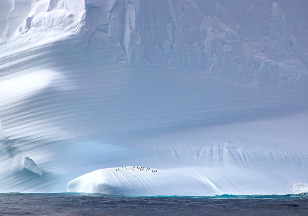 Antarctica Photos Blog search