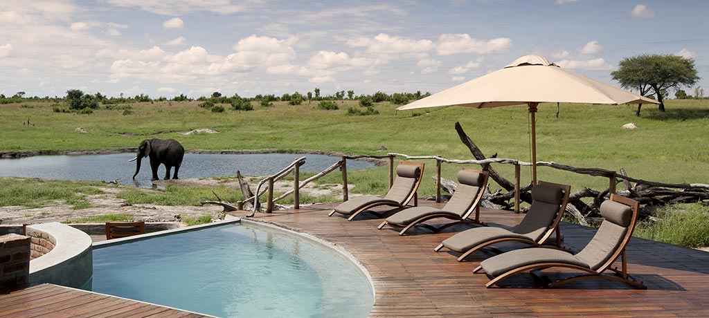 africa zimbabwe hwange national park somalisa camp 1