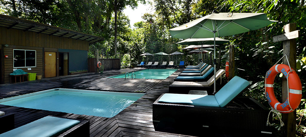 Borneo Sukau Rainforest Lodge pool 